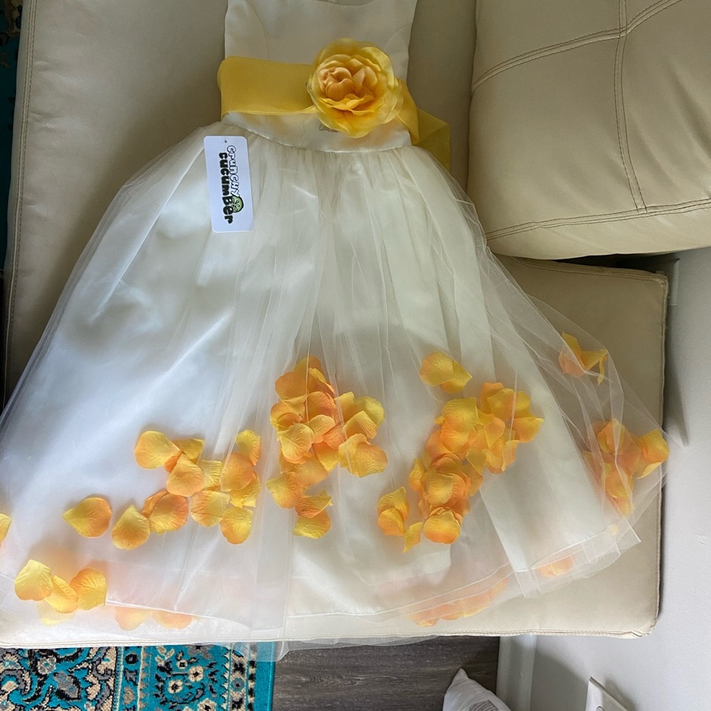 Girl new dress